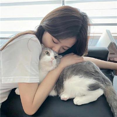 爱的肢解 海报